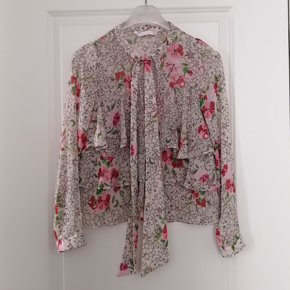 Zara Ruffled Sheer Blouse - Picture 2 of 8